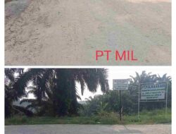 Akses Jalan Ke PKS PT Mil Masih Berdebu, Pemda Muaro Jambi Diminta Tegaskan Pihak Perusahaan