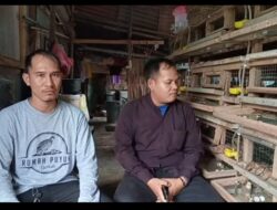 Bisnis menjanjikan.fauzan seorang peternak burung puyuh yang sukses menghasilkan ratusan telur puyuh dalam sehari