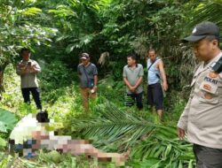 Polsek Pineleng Amankan Kecelakaan Kerja di Desa Warembungan