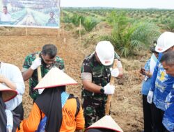 Tingkatkan ketahanan pangan,Dandim 0402/OKI Hadiri Kegiatan Tanam Padi Gogo