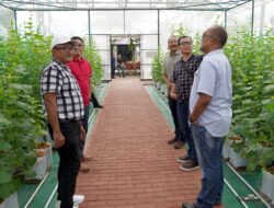 Kapuspen TNI Tinjau Urban Farming Taman Aspirasi Kodam II/Swj