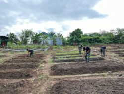 Yonif 141/AYJP Dukung Program Ketahanan Pangan dengan Urban Farming