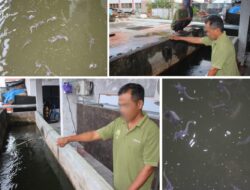 Warga Binaan Lapas Banjarmasin Tekuni Budidaya Ikan Lele