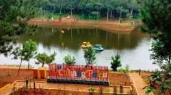 Situ Cukang Paku, Wisata Alam Sejuk di Sukabumi dengan Hamparan Pohon Pinus