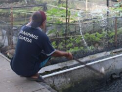 WBP Lapas Banjarmasin Tekuni Kegiatan Berkebun Di Bengkel Kerja