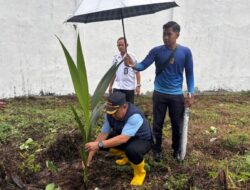 Penanaman Bibit Kelapa, Hijaukan Lapas Dan Lingkungan Sekitar