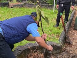 Penanaman Pohon Buah Di Lapas, Dukung Ketahanan Pangan Dan Lingkungan Asri