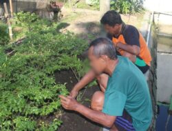Pembinaan Kemandirian Lapas Kelas II A Banjarmasin Fokus Pada Pemberdayaan Bidang Pertanian