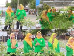 Pipas Lapas Kelas II A Banjarmasin Giatkan Kegiatan Panen Sebagai Wujud Dukungan Pembinaan