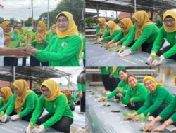 Kegiatan Penanaman Bibit Terong Perkuat Semangat Produktivitas Di Lapas Kelas II A Banjarmasin