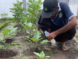 Warga Binaan Lapas Kelas IIA Banjarmasin Belajar Tanggung Jawab Lewat Bertani