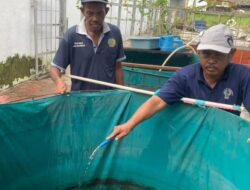 Budidaya Lele Di Lapas Kelas IIA Banjarmasin Dukung Program Pembinaan Berbasis Ketahanan Pangan