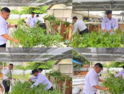 Seledri Hidroponik Siap Jual, Lapas Banjarmasin Perkuat Program Ekonomi WBP