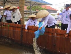 Penebaran Lele di SAE Lapas Banjarmasin Dukung Pembinaan dan Ketahanan Pangan