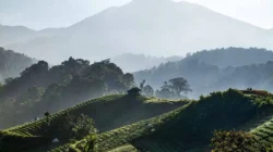Menakjubkan Keindahan Alam Pasir Datar Indah Sukabumi, Pemamdangan Bagai Lukisan Di negri Dongeng