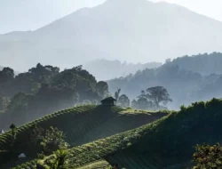 Menakjubkan Keindahan Alam Pasir Datar Indah Sukabumi, Pemamdangan Bagai Lukisan Di negri Dongeng