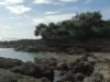 Pesona Pantai Karang Haji Surga Tropis di Teluk Pelabuhanratu Sukabumi