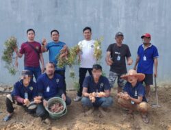 Pembinaan Kemandirian Bidang Pertanian, Lapas Narkotika Karang Intan Panen Ubi Jalar