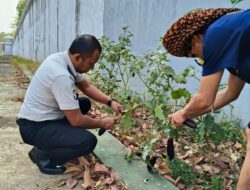 Lapas Narkotika Karang Intan Panen 10 Kilogram Terung, Bekali Warga Binaan Keterampilan Pertanian